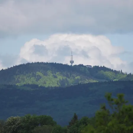 Stricker Harz Feriehus