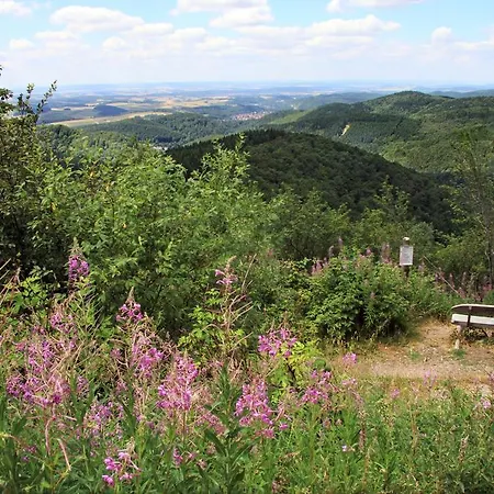 Stricker Harz Feriehus