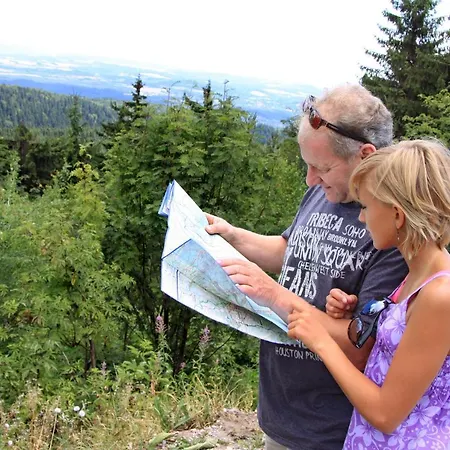 Stricker Harz
