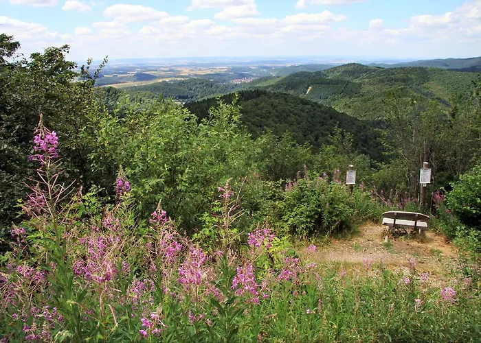 Stricker Harz Σπίτι διακοπών