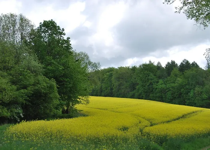 Σπίτι διακοπών Stricker Harz Walkenried