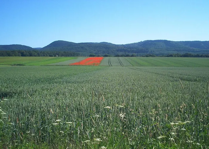 Σπίτι διακοπών Stricker Harz