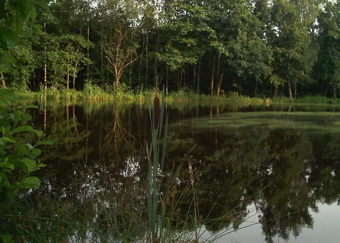 Stricker Harz * Walkenried