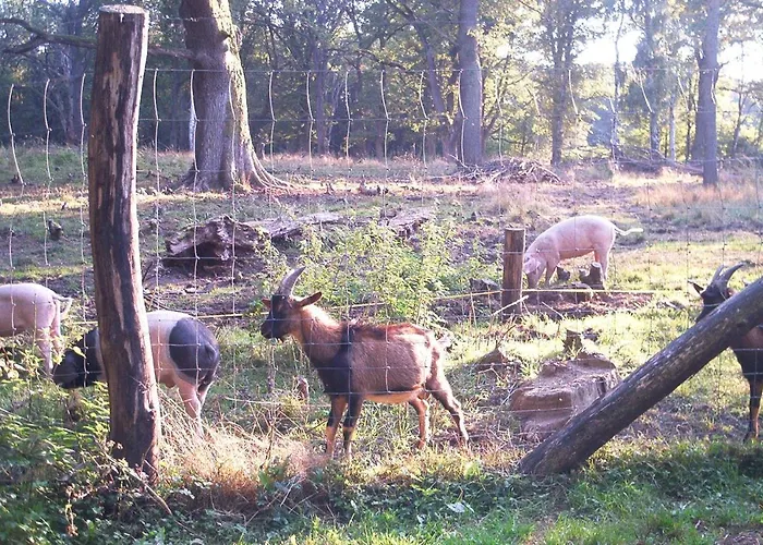 Σπίτι διακοπών Stricker Harz