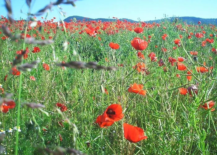 Σπίτι διακοπών Stricker Harz Walkenried